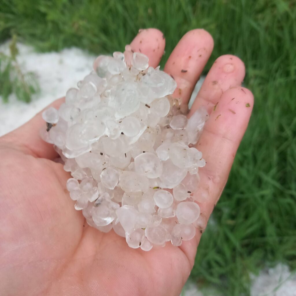 581110112 681026041747572 4113085700130787063 n