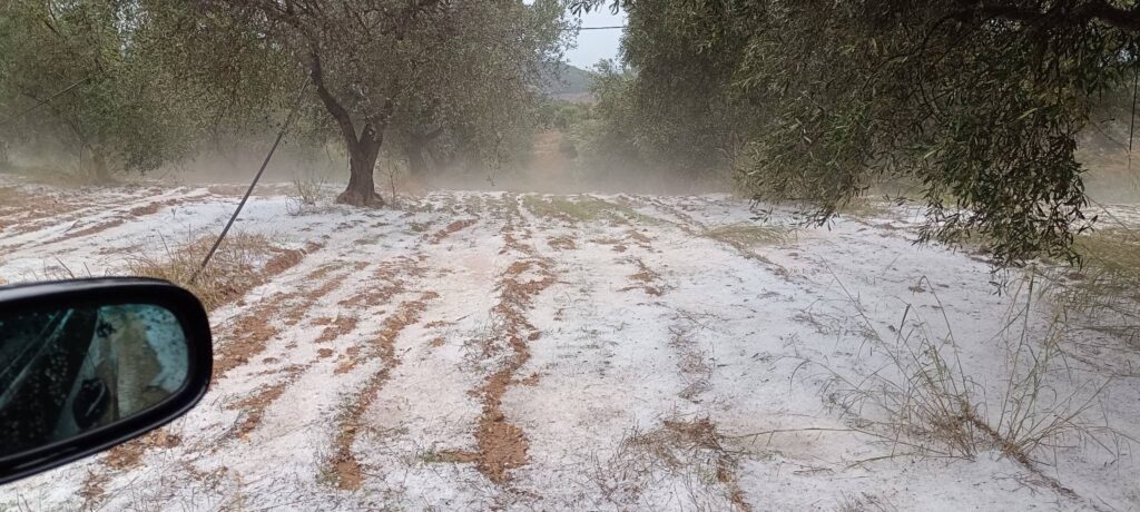 581129369 681024285081081 3093575745217925256 n